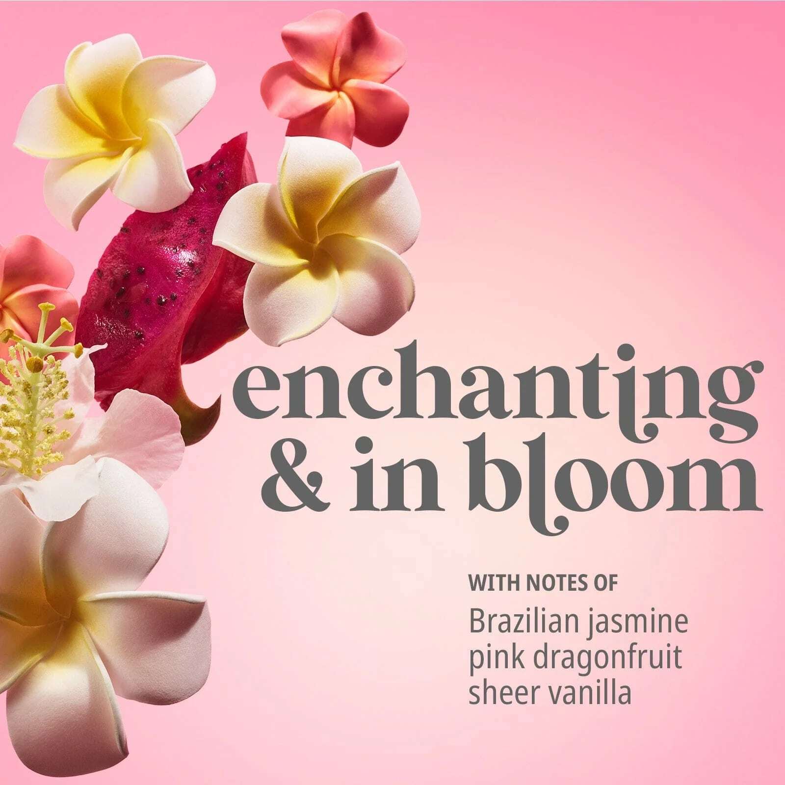 BEIJA FLOR ELASTI-BODY OIL