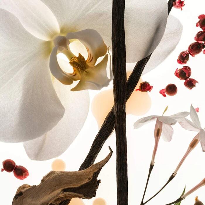 VANILLA SKIN EAU DE PARFUM