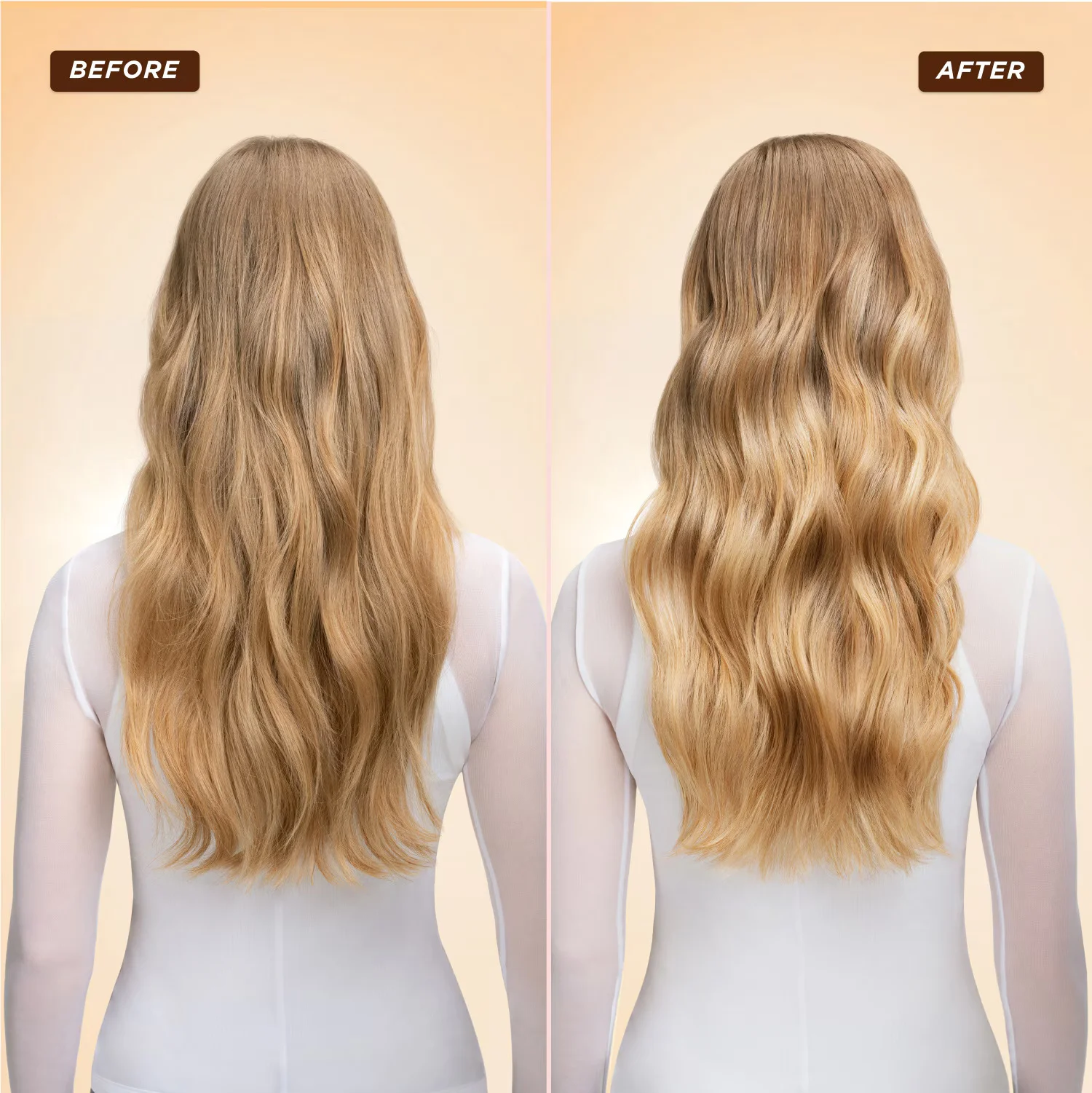 HONEY GLOSS CERAMIDE THERAPY HAIR WASH + CONDITIONER SET