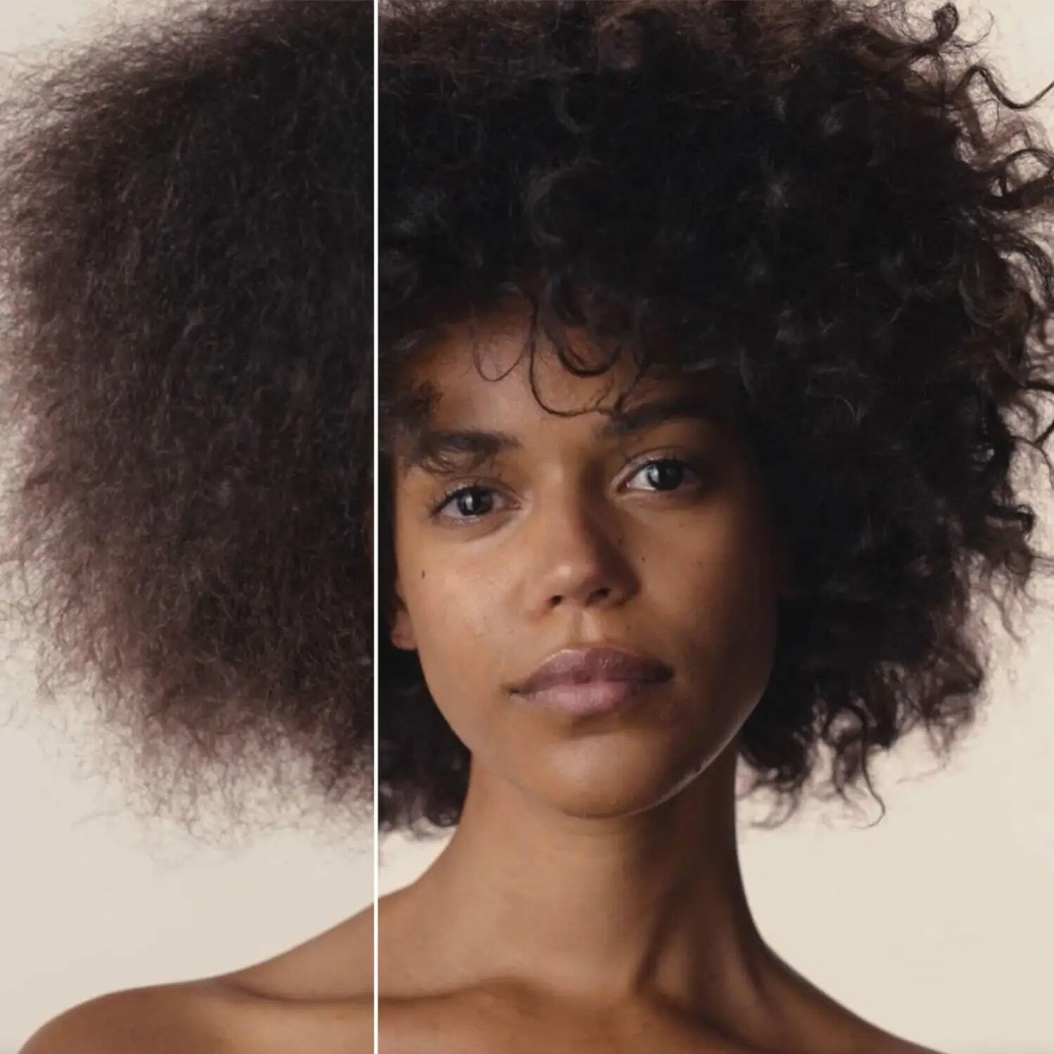 HOLIDAY HEALTHY HAIR REVIVAL KIT