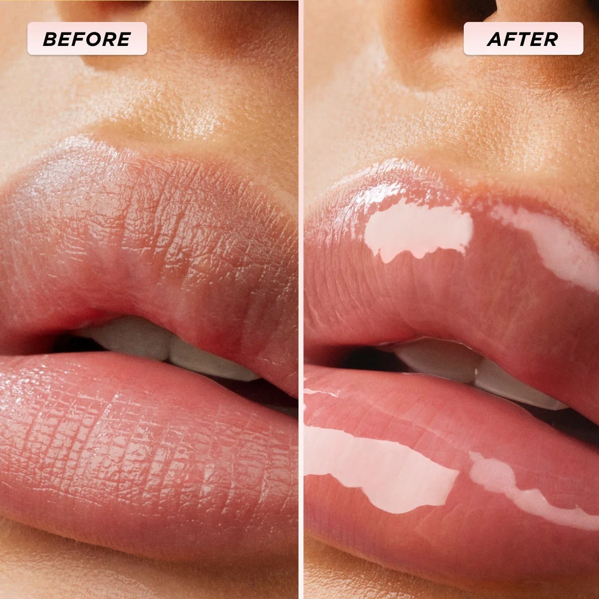 HONEY GLOSS DUO GIFT SET